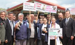 EFLANİ'DE GENÇLERDEN SOKAK HAYVANLARINA DESTEK