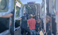 ALAPLI'DA YÜRÜYÜŞE ÇIKAN KADIN UÇURUMDAN DÜŞTÜ