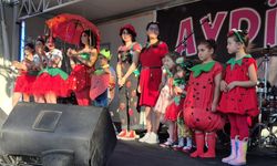 BARTIN'DA ÇİLEK FESTİVALİ BAŞLADI