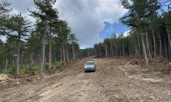 KASTAMONU'DA ORMANLAR İÇİN EMNİYET YOLU ÇALIŞMALARI SÜRÜYOR