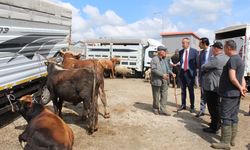 İL MÜDÜRÜ AYVALIK'TAN EFLANİ'DE BAYRAM ÖNCESİ HAYVAN PAZARINA ZİYARET