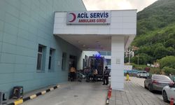 KASTAMONU'DA AKREBİN SOKTUĞU KADIN HASTANELİK OLDU