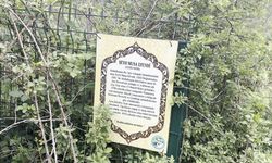 KASTAMONU'DA ASIRLIK TÜRBE YOK OLMAYLA KARŞI KARŞIYA