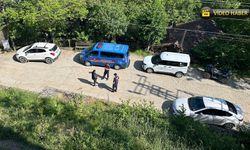 KARABÜK'TE KÖPEK ÖLÜMLERİ İLE İLGİLİ İNCELEME BAŞLATILDI