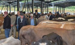 BARTIN'DA KURBAN PAZARI HAREKETLENDİ
