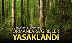 ORMANLARA GİRİŞLER YASAKLANDI