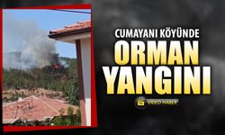 KARABÜK'TE ORMAN YANGINI