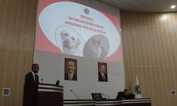 HAYVAN HAKLARI KORUMA KANUNU KAPSAMINDA DEĞERLENDİRME TOPLANTISI YAPILDI