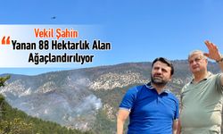 VEKİL ŞAHİN, "YANAN 88 HEKTARLIK ALAN AĞAÇLANDIRILIYOR"