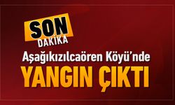 AŞAĞIKIZILCAÖREN'DE YANGIN