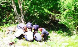 ZONGULDAK'TA ŞARAMPOLE DEVRİLEN ARAÇTAKİ 3 KİŞİ YARALANDI