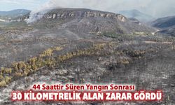 YANGINDA 30 KİLOMETRELİK ALAN ZARAR GÖRDÜ