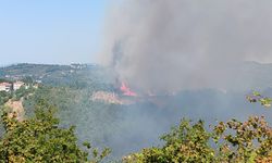 ALAPLI'DA ORMANLIK ALANDA YANGIN ÇIKTI