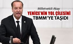 MİLLETVEKİLİ AKAY YENİCE YOLUNU TBMM GÜNDEMİNE TAŞIDI