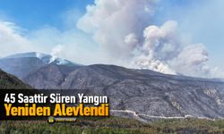 45 SAATTİR SÜREN YANGIN YENİDEN ALEVLENDİ