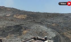 SAFRANBOLU'DA ANIZ YANGININDA GENİŞ ALAN ZARAR GÖRDÜ