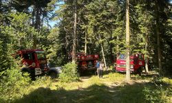 AZDAVAY'DA ÇIKAN YANGINDA 2 DEKAR ALAN ZARAR GÖRDÜ