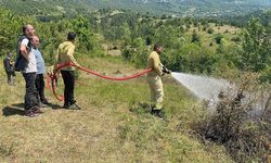 BARTIN ULUS'TA YÜKSEK GERİLİM HATTI YANGIN ÇIKARDI
