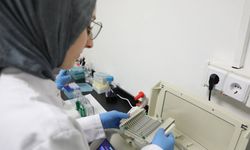 BARÜ'DE KEREVİZ TOHUMUNUN FAYDALARI İNCELENECEK