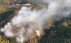 BOLU'DA ÇIKAN ORMAN YANGINI KONTROL ALTINA ALINDI