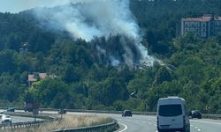 BOLU'DAKİ ORMAN YANGINI BÜYÜMEDEN SÖNDÜRÜLDÜ