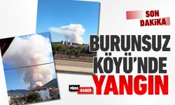 KARABÜK BURUNSUZ KÖYÜ'NDE YANGIN