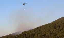 ÇANKIRI VE KASTAMONU SINIRINDAKİ YANGIN KONTROL ALTINDA