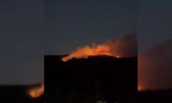 ÇANKIRI'DA ORMAN YANGINI