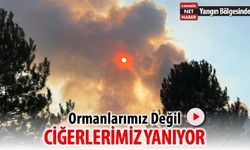 KARABÜK NET HABER YANGIN BÖLGESİNDE: CİĞERLERİMİZ YANIYOR