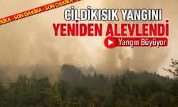 CİLDIKISIK MEVKİİNDEKİ YANGIN YENİDEN ALEVLENDİ