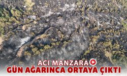 KELTEPE YANGIN BÖLGESİ DRON İLE GÖRÜNTÜLENDİ