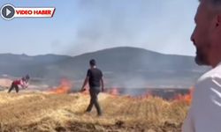 ESKİPAZAR'DA KORKUTAN YANGIN