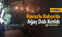 HAVUZLU BAHÇEDE AĞAÇ DALI KIRILDI 4 KİŞİ YARALANDI