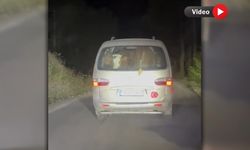 YANGINDA MAHSUR KALAN HAYVANLAR TAHLİYE EDİLDİ