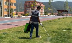 KARABÜK SİNEK VE HAŞERELERE KARŞI İLAÇLANIYOR