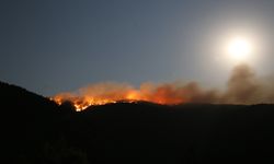 ILGAZ'DAKİ YANGINDA 40 HEKTAR ALAN ZARAR GÖRDÜ