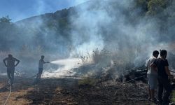 KASTAMONU'DA ORMANLIK ALANDA ÇIKAN YANGIN BÜYÜMEDEN SÖNDÜRÜLDÜ