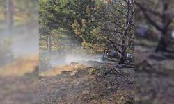 KASTAMONU'DA ORMANLIK ALANDA ÇIKAN YANGIN SÖNDÜRÜLDÜ