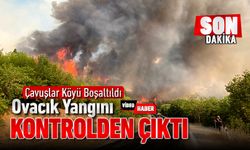 OVACIK ÇAVUŞLAR KÖYÜNDE YANGIN BÜYÜDÜ