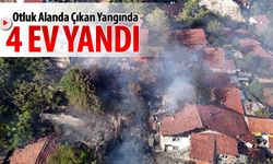 OTLUK ALANDA ÇIKAN YANGINDA 4 EV YANDI