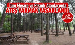 TÜM PİKNİK VE MESİRE ALANLARINDA ATEŞ YAKMAK YASAKLANDI