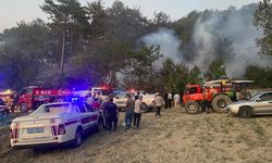 MUDURNU'DAKİ ORMAN YANGINI KONTROL ALTINDA