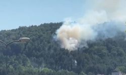 DEVREK'TE ÖRTÜ YANGINI MEYDANA GELDİ