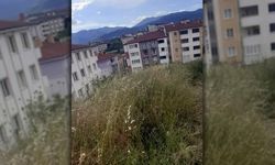 VATANDAŞLARDAN UZUN OT SİTEMİ