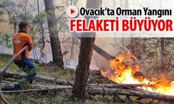OVACIK'TA ORMAN YANGINI FELAKETİ BÜYÜYOR
