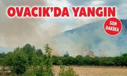 OVACIK'DA YANGIN ÇIKTI