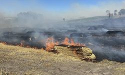 SAMAN BALYASI YANGINI ORMANA SIÇRADI