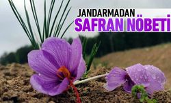 JANDARMADAN SAFRAN NÖBETİ