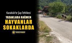 ŞAP HASTALIĞINA RAĞMEN HAYVANLAR SOKAKTA