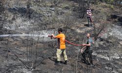 TAŞKÖPRÜ'DE TARLA YANGINI ORMANA SIÇRADI
